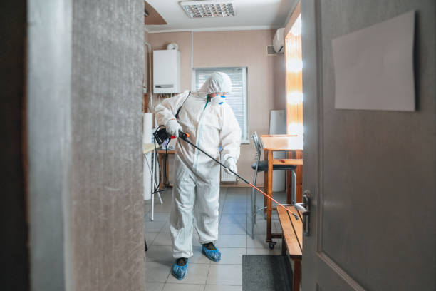 Best Basement Mold Removal  in Ardmore, PA